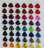 染發色卡 頭發色卡 毛板染色色卡 Hair Color Chart